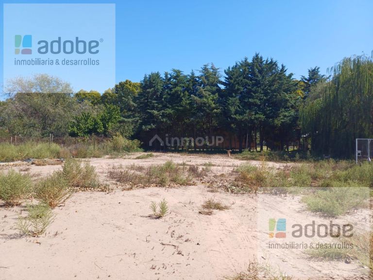 Terreno en Venta en Lujan de Cuyo, Mendoza