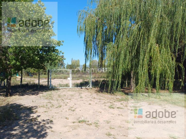 Terreno en Venta en Lujan de Cuyo, Mendoza