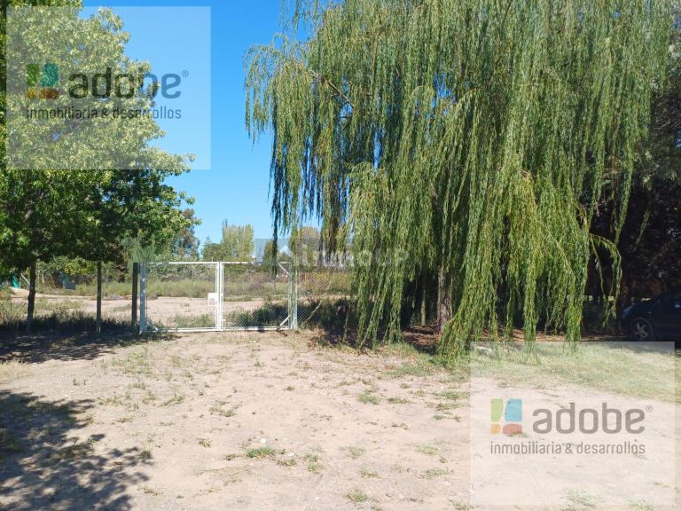 Terreno en Venta en Lujan de Cuyo, Mendoza