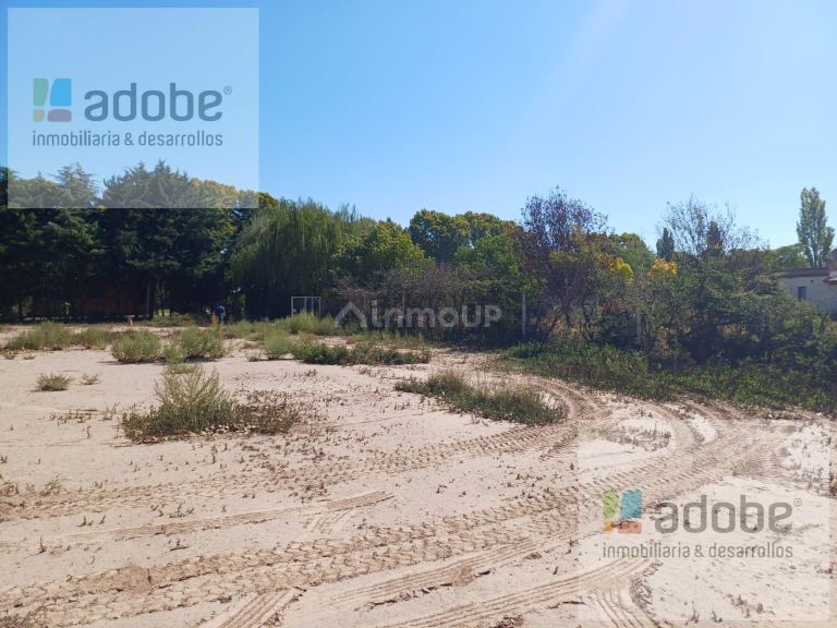 Terreno en Venta en Lujan de Cuyo, Mendoza