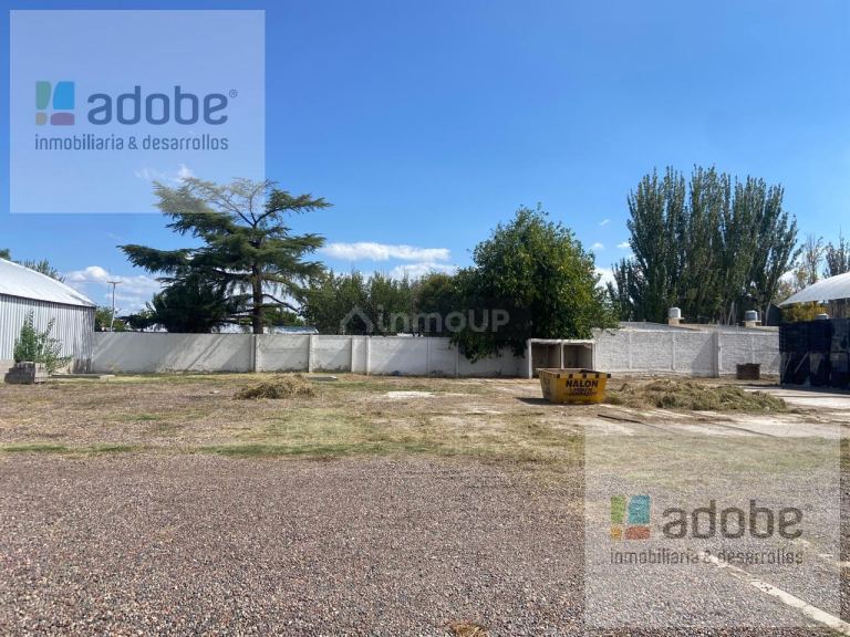Galpon en Alquiler en San Martin, Mendoza