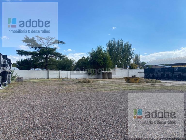 Galpon en Alquiler en San Martin, Mendoza