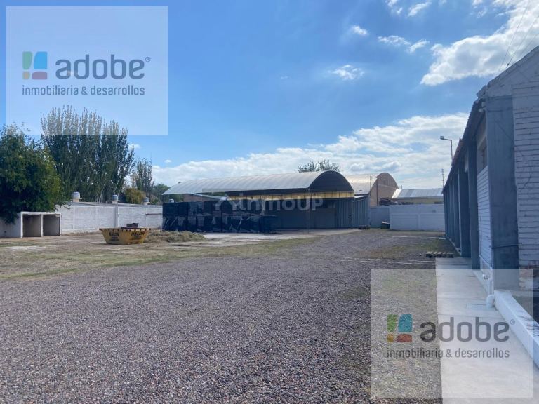 Galpon en Alquiler en San Martin, Mendoza