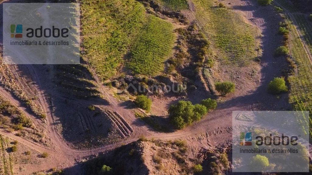 Finca en Venta en Lujan de Cuyo, Mendoza