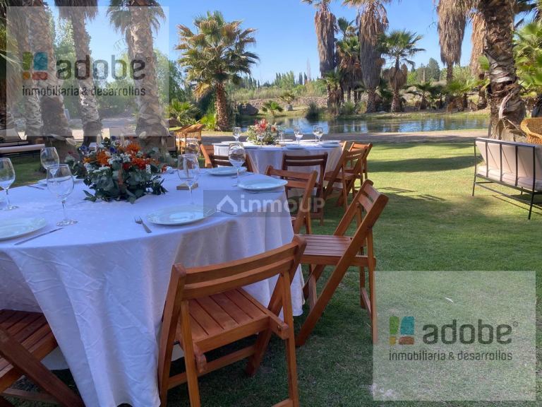 Finca en Venta en Lujan de Cuyo, Mendoza