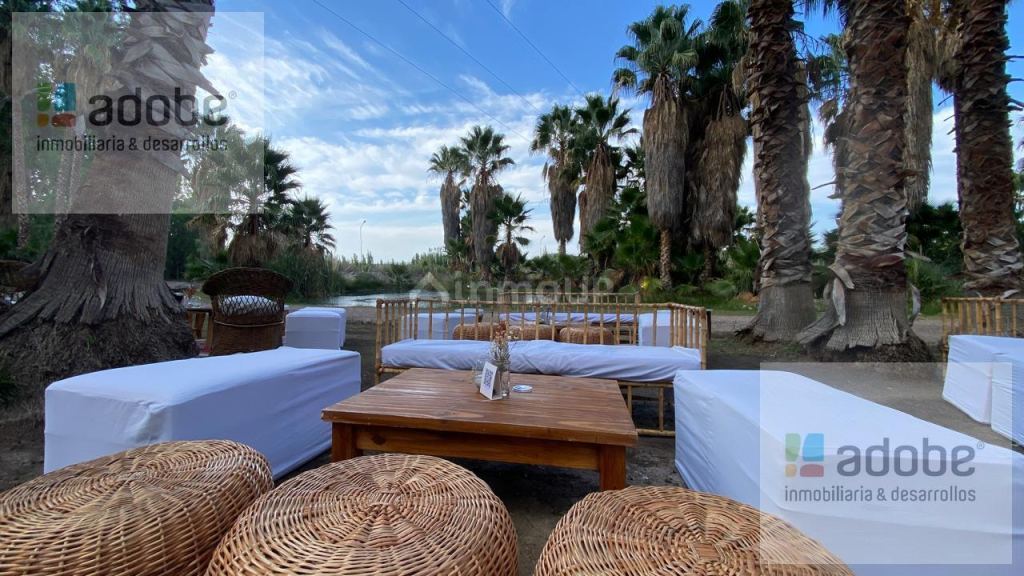 Finca en Venta en Lujan de Cuyo, Mendoza