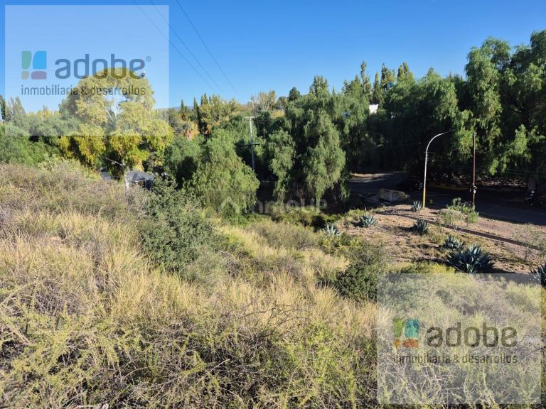 Terreno en Venta en Lujan de Cuyo, Mendoza