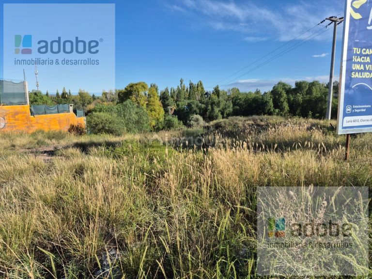 Terreno en Venta en Lujan de Cuyo, Mendoza