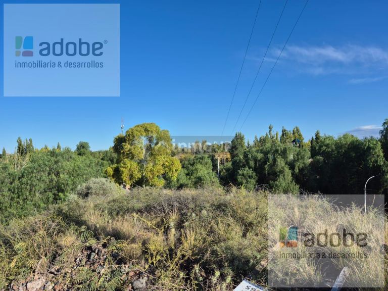 Terreno en Venta en Lujan de Cuyo, Mendoza