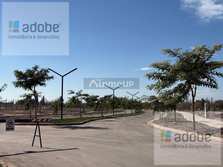 Terreno en Venta en Lujan de Cuyo, Mendoza
