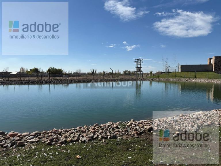 Terreno en Venta en Lujan de Cuyo, Mendoza