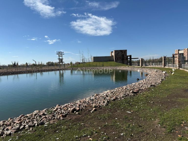 Lujan de Cuyo B° QVATTRO VIAMONTE