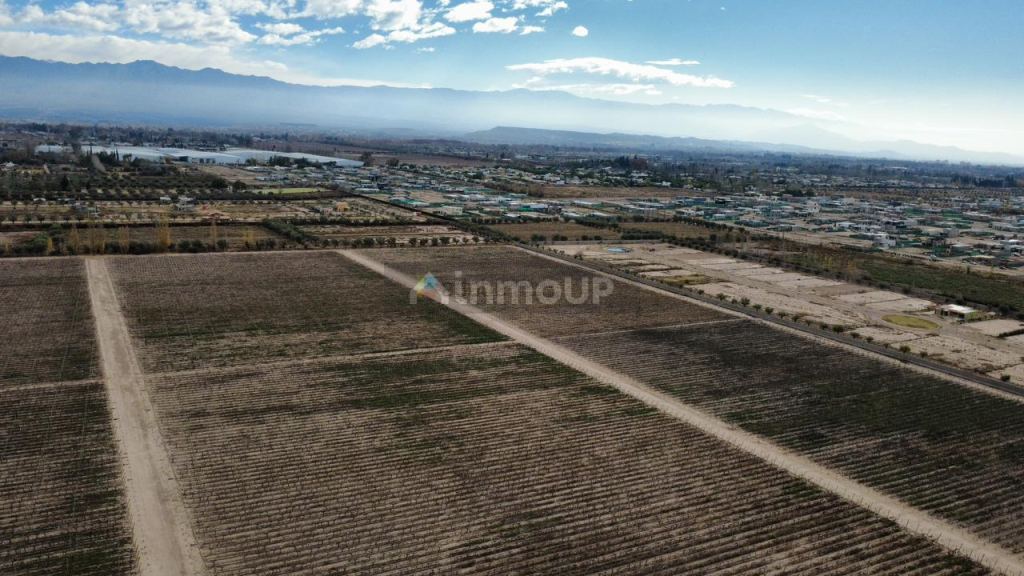 Finca en Venta en Lujan de Cuyo, Mendoza