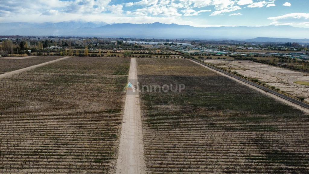 Finca en Venta en Lujan de Cuyo, Mendoza