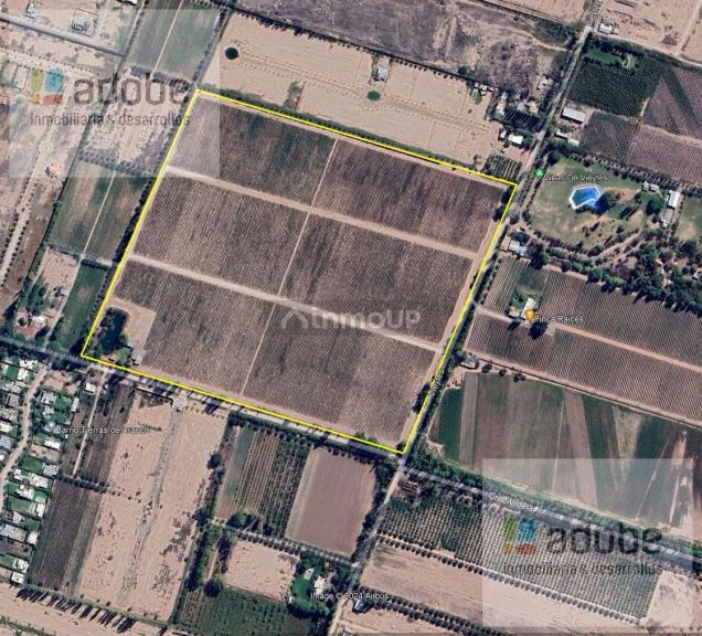 Finca en Venta en Lujan de Cuyo, Mendoza