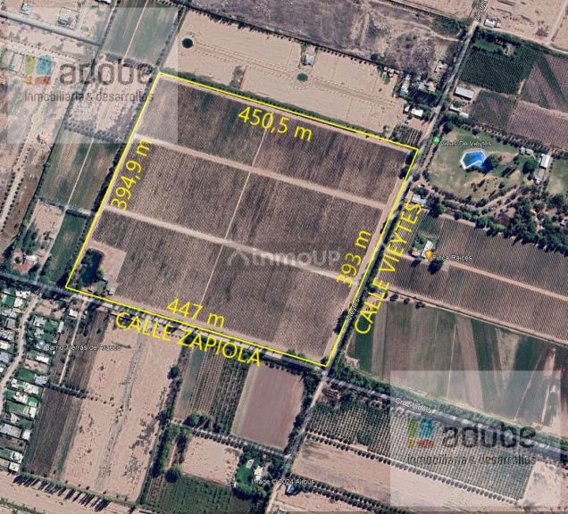 Finca en Venta en Lujan de Cuyo, Mendoza