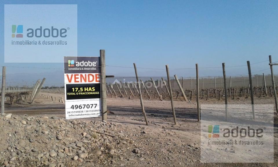 Finca en Venta en Lujan de Cuyo, Mendoza