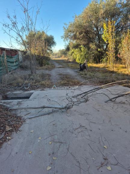 Terreno en Venta en Maipu, Mendoza