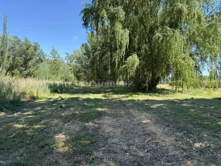 Finca en Venta en Lujan de Cuyo, Mendoza
