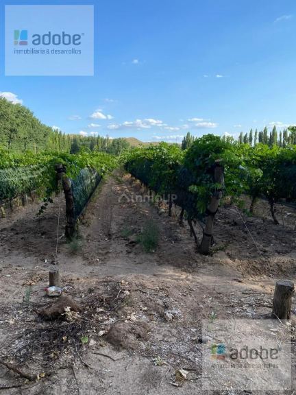 Lujan de Cuyo Ruta Provincia N°16