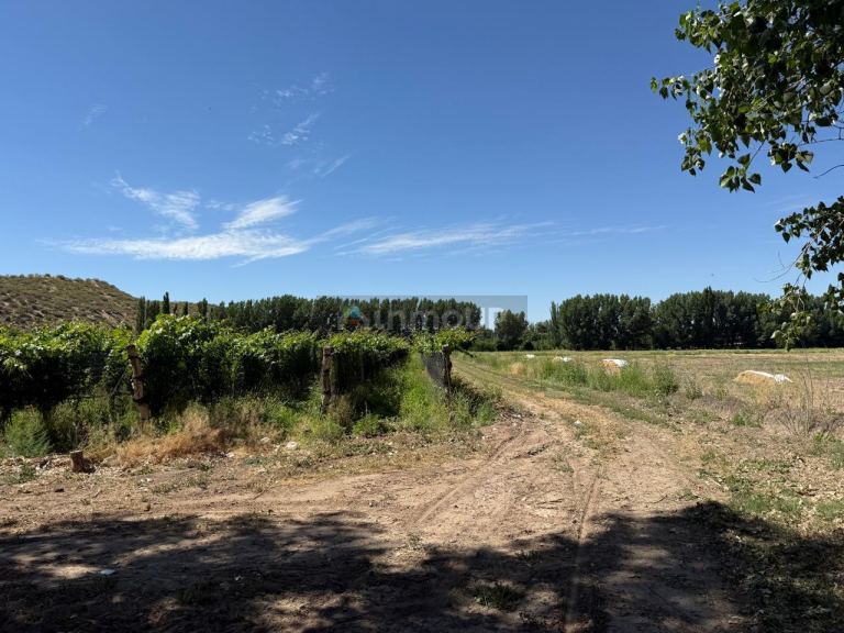 Finca en Venta en Lujan de Cuyo, Mendoza