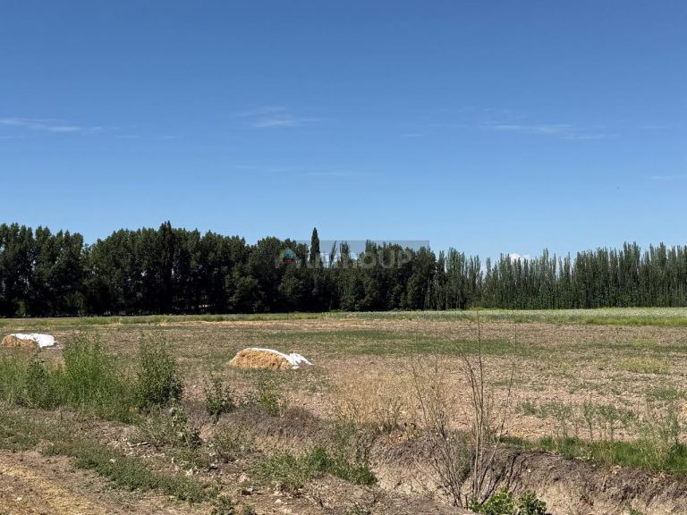 Finca en Venta en Lujan de Cuyo, Mendoza