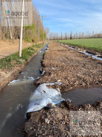 Lujan de Cuyo Ruta Provincia N°16