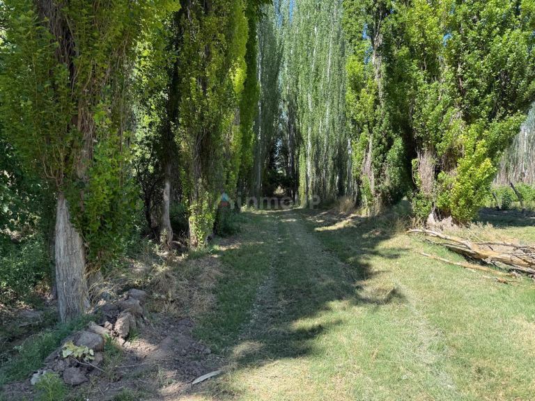 Finca en Venta en Lujan de Cuyo, Mendoza