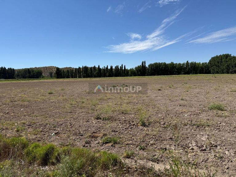 Finca en Venta en Lujan de Cuyo, Mendoza