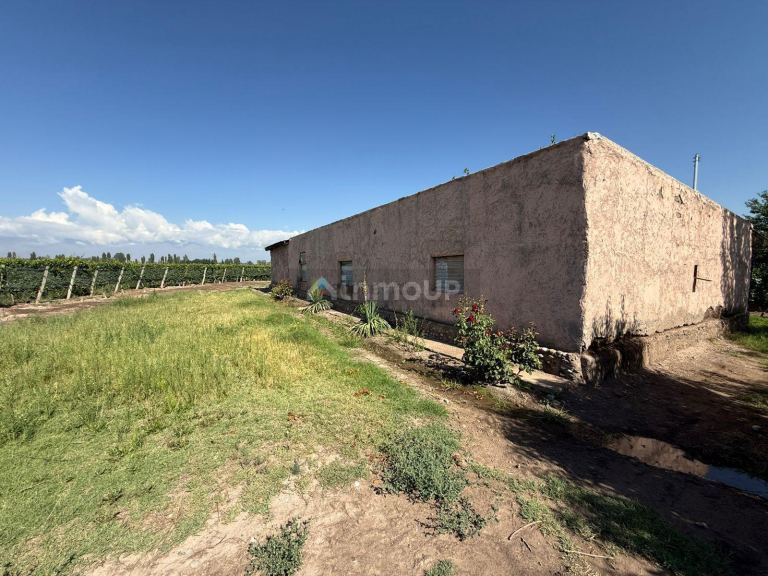 Finca en Venta en San Carlos, Mendoza