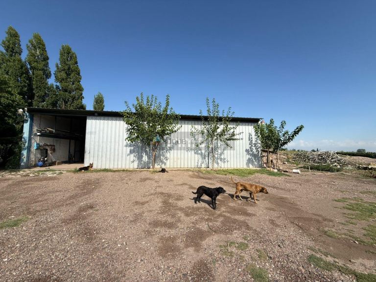 Finca en Venta en San Carlos, Mendoza