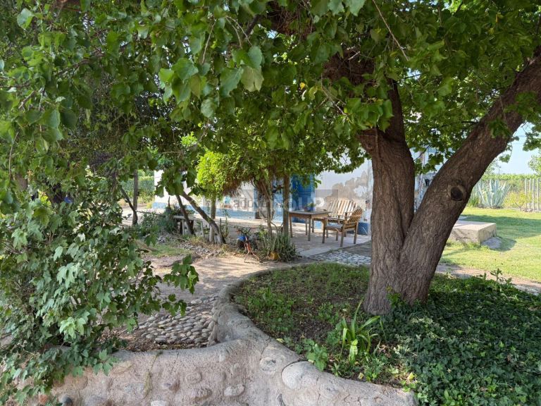 Finca en Venta en San Carlos, Mendoza