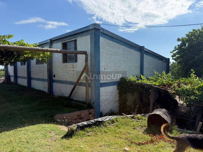 Finca en Venta en San Carlos, Mendoza