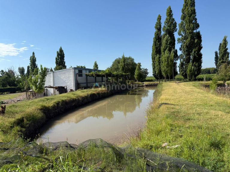 Finca en Venta en San Carlos, Mendoza