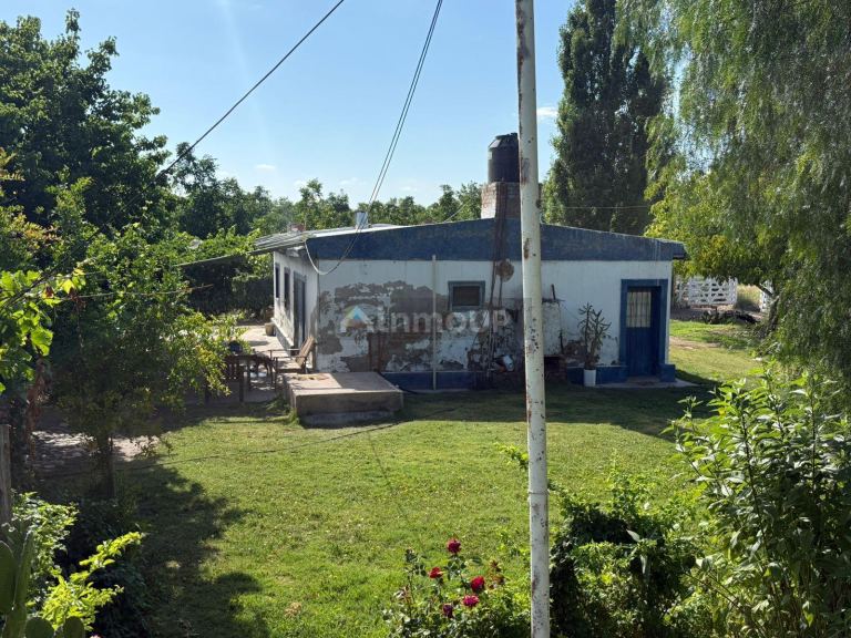 Finca en Venta en San Carlos, Mendoza
