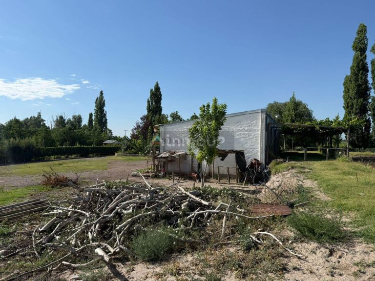 Finca en Venta en San Carlos, Mendoza