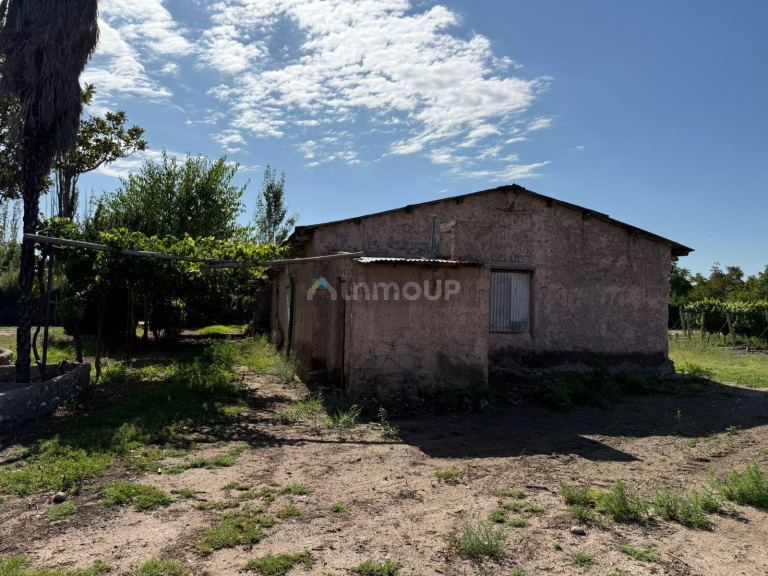 Finca en Venta en San Carlos, Mendoza