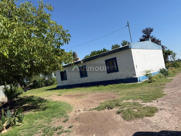 Finca en Venta en San Carlos, Mendoza