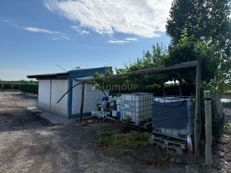 Finca en Venta en San Carlos, Mendoza