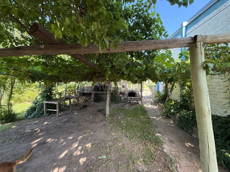 Finca en Venta en San Carlos, Mendoza