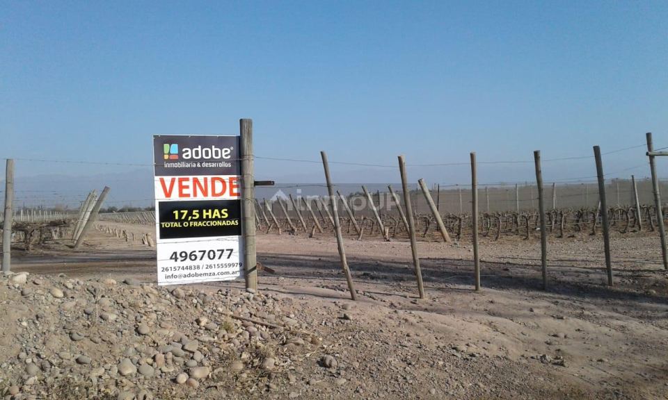 Finca en Venta en Lujan de Cuyo, Mendoza