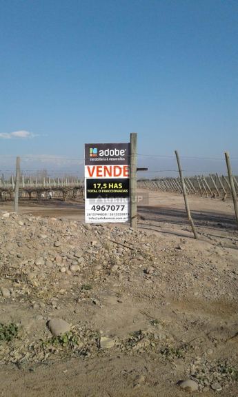 Finca en Venta en Lujan de Cuyo, Mendoza