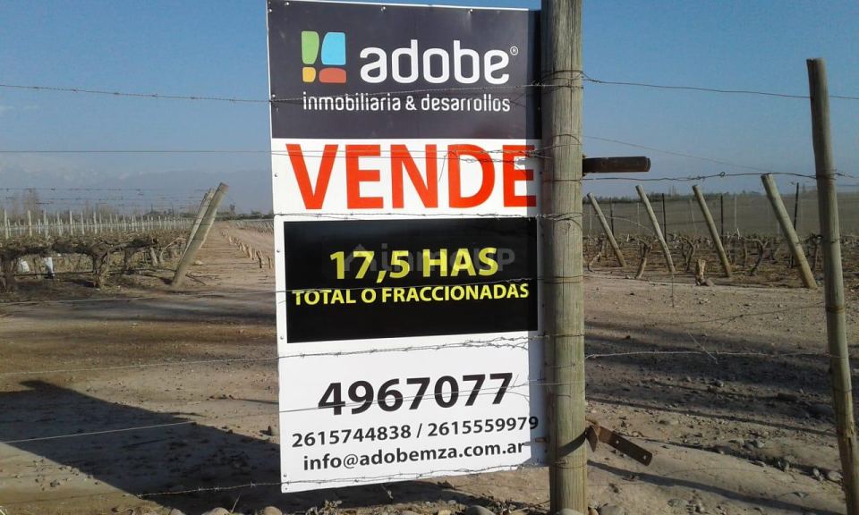 Finca en Venta en Lujan de Cuyo, Mendoza