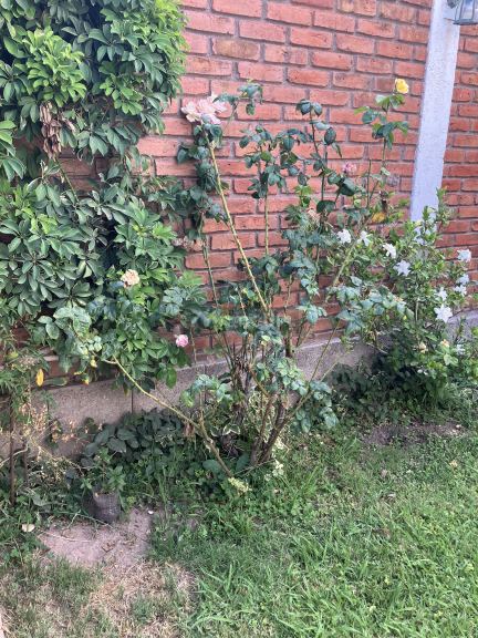 Casa en Venta en Godoy Cruz, Mendoza