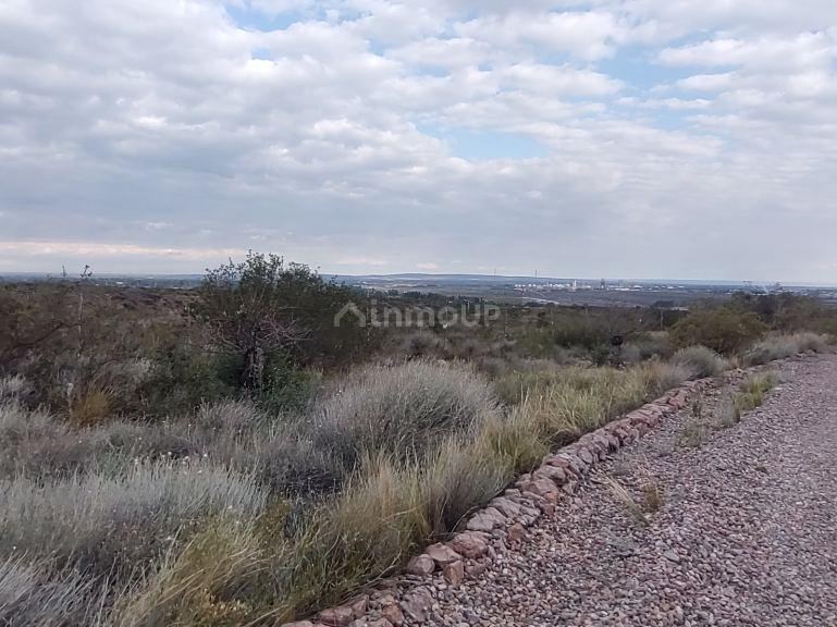 Terreno en Venta en Lujan de Cuyo, Mendoza