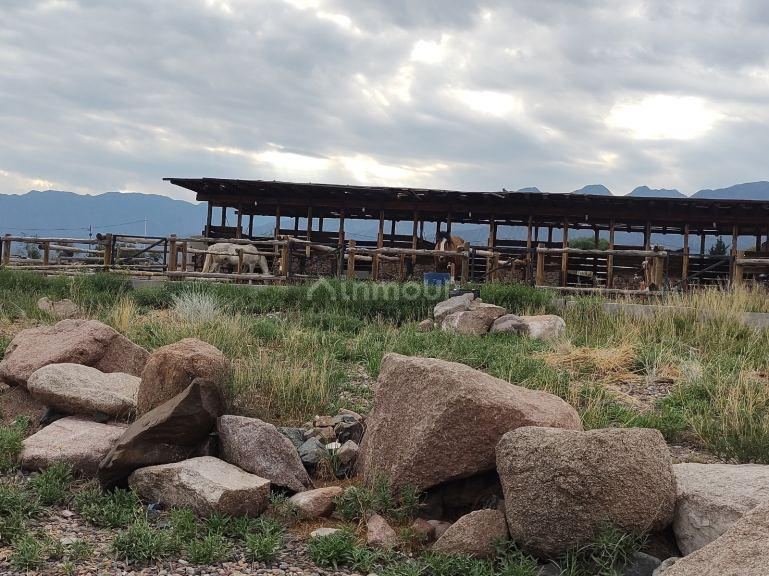 Terreno en Venta en Lujan de Cuyo, Mendoza