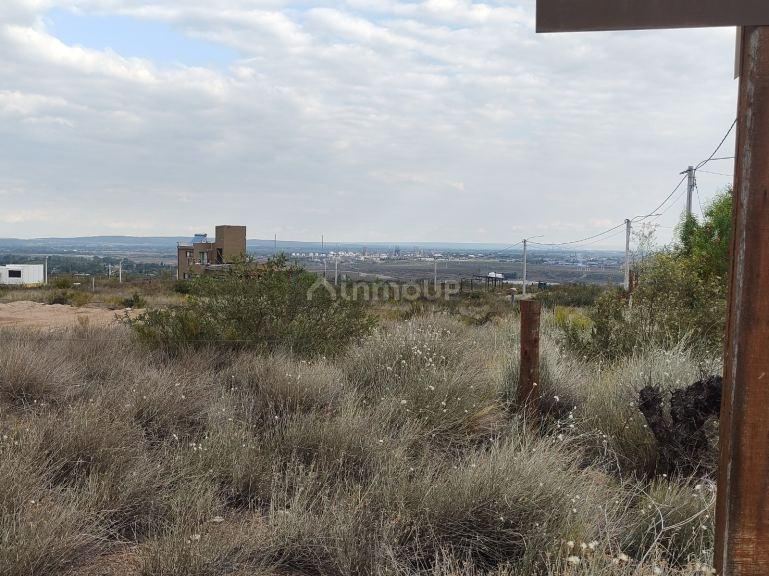 Terreno en Venta en Lujan de Cuyo, Mendoza