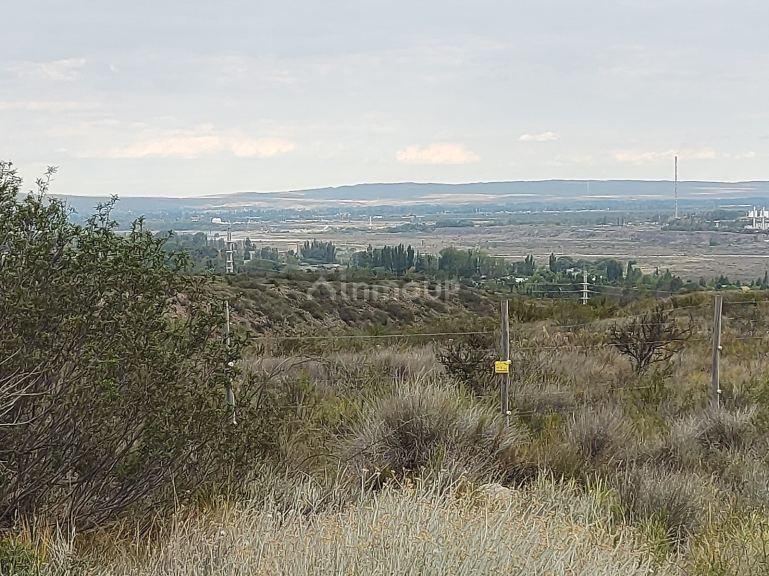Terreno en Venta en Lujan de Cuyo, Mendoza