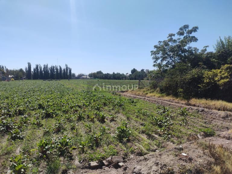 Finca en Venta en Guaymallen, Mendoza