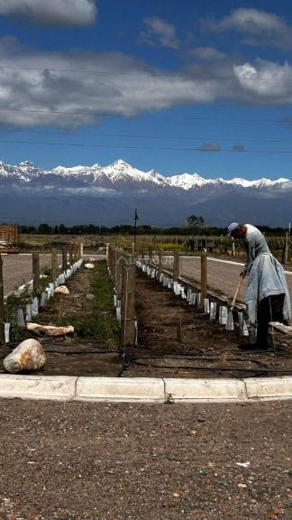 Terreno en Venta en Tupungato, Mendoza